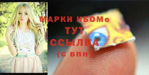 индика Корсаков