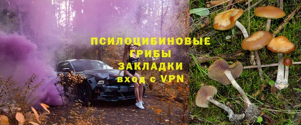 ALPHA PVP Коряжма