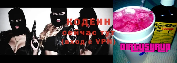 индика Корсаков