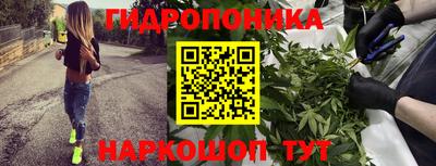 мяу мяу мука Бийск