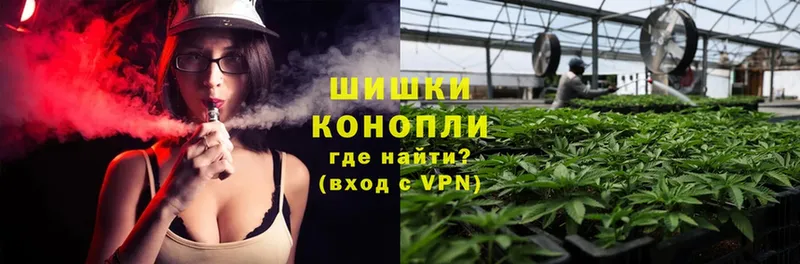 купить наркоту  Черкесск  Канабис Ganja 